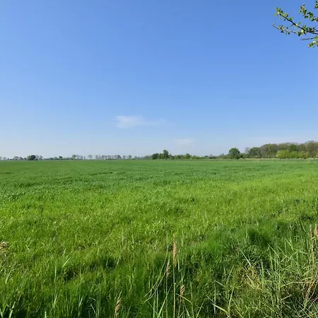 Dom wakacyjny Haus Juist -